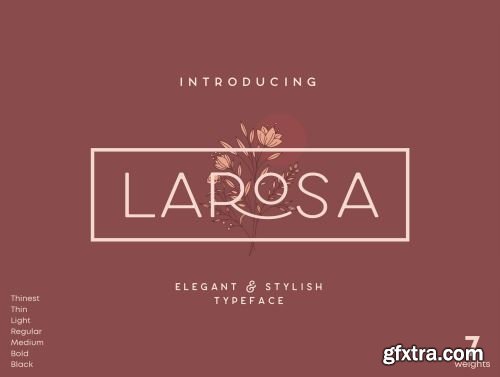 Larosa Sans Elegant Typeface Ui8.net