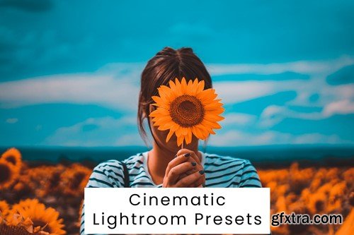 Cinematic Lightroom Presets Y95BSQ7