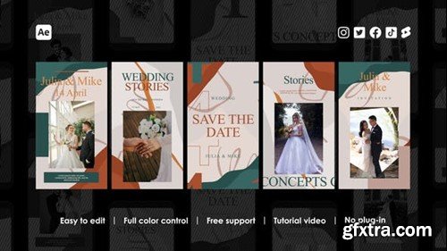 Videohive Invitation Instagram Reels 48442080