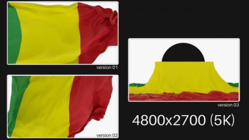 Videohive - Pack Of Mali Flag On Alpha - 48145368 - 48145368