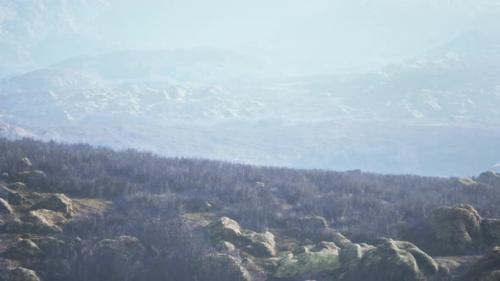 Videohive - Autumn Grass on the Stones Against the Backdrop of Rocks - 48195588 - 48195588