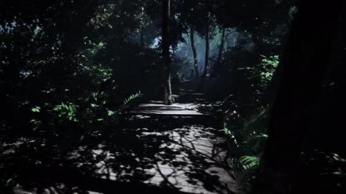 Videohive - Crooked Wooden Track Navigates a Sunlit Jungle - 48195756 - 48195756