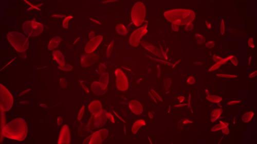 Videohive - Abstract Animation Of Human Red Blood Cell, Loop Animation Of Blood Cell Moving On The Red Backgroun - 48128030 - 48128030