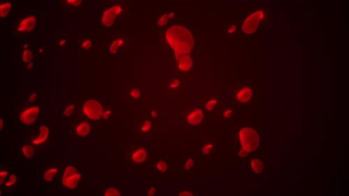 Videohive - Abstract Animation Of Human Red Blood Cell, Loop Animation Of Blood Cell Moving On The Red Backgroun - 48128031 - 48128031