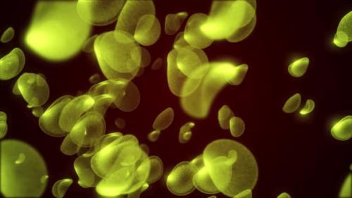Videohive - Animation Of Human Red Blood Cell Turned Into Green , Virus Effected The Red Blood Cell In The Human - 48128034 - 48128034