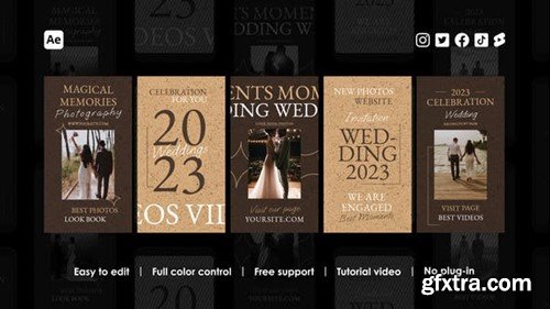 Videohive Wedding Instagram Reels 48461338