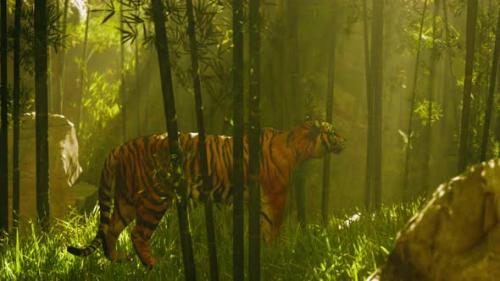 Videohive - In a Thick Bamboo Forest a Tiger Stands Motionless Searching for Its Next Meal - 48195580 - 48195580