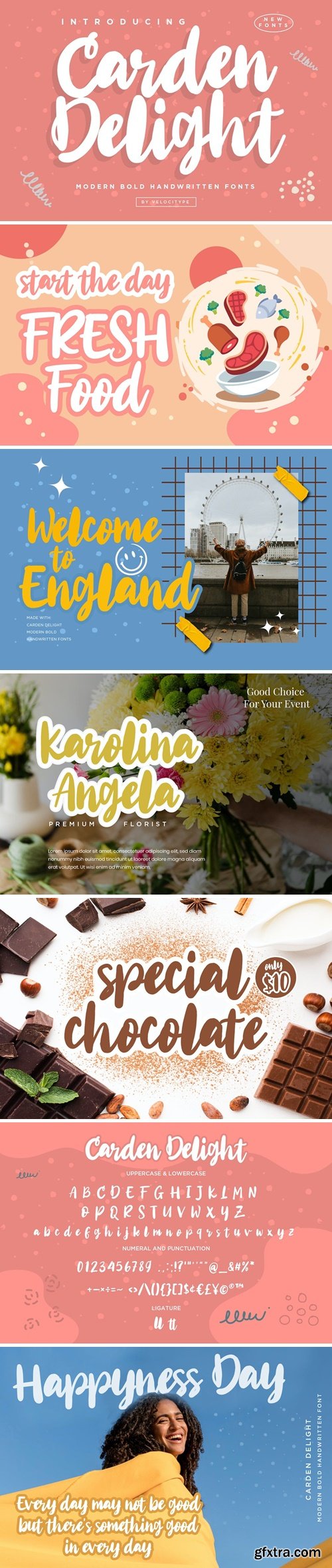 Carden Delight - Modern Bold Script fonts