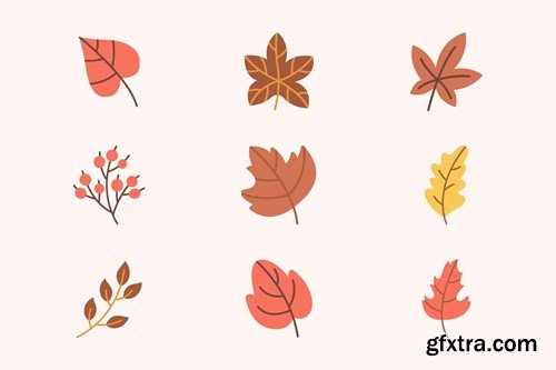 Vector Hand drawn Autumn Leaves 375UHSK