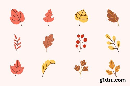 Vector Hand drawn Autumn Leaves 375UHSK