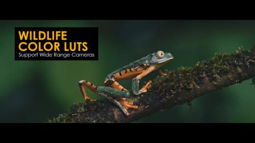 Videohive - Wildlife Color LUTs - 48224188 - 48224188