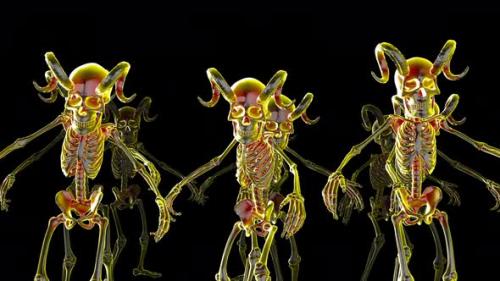 Videohive - 4K glass horned skeletons - 48121942 - 48121942