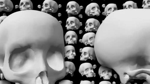 Videohive - Grid of skulls in black and white - 48122044 - 48122044