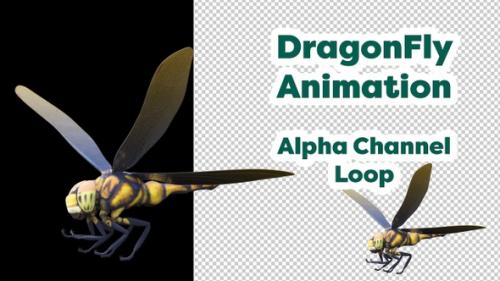 Videohive - Dragonfly Animation 02 - 48126326 - 48126326