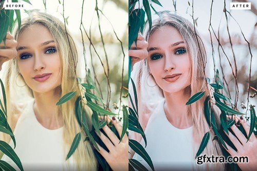 Smoky Quartz Premium Lightroom Presets S3WSQG8