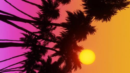 Videohive - Movement Along Palm Alley Bottom View of Coconut Palm Trees in Sunset Vertical Video - 48228428 - 48228428