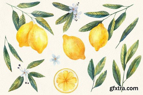 Watercolor Lemon Clipart, Citrus E7YTSTD