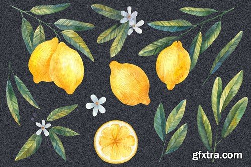 Watercolor Lemon Clipart, Citrus E7YTSTD