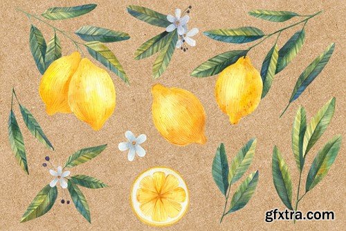 Watercolor Lemon Clipart, Citrus E7YTSTD