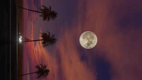 Videohive - Vertical Video of Moving Along the Ocean Side of the Road with Coconut Palm Trees in Moon Light - 48228436 - 48228436