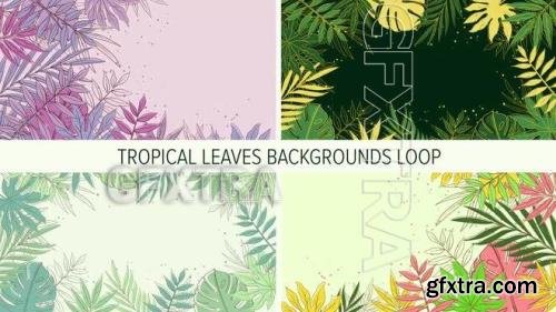 Pack Of 2D Tropical Leaves Backgrounds 1624248