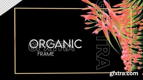 Organic Frame On Alpha 1538822