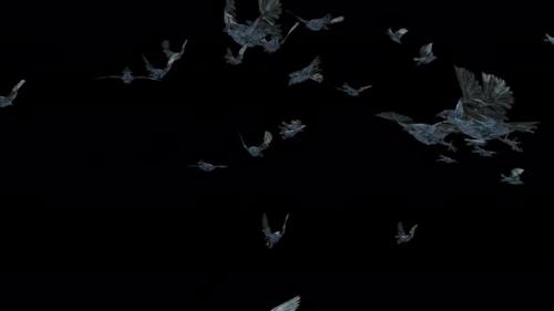 Videohive - 22 Crow Bird Bat Flying 4K - 48242330 - 48242330