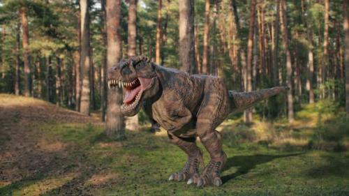 Videohive - Tyrannosaurus - 48201013 - 48201013