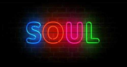 Videohive - Soul music neon on brick wall loop - 48202213 - 48202213