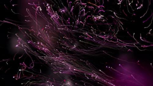 Videohive - Burgundy Particle Dust 4K - 48213547 - 48213547