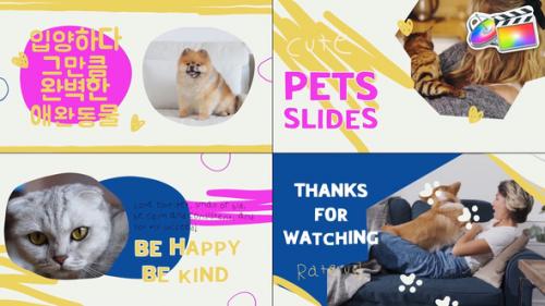 Videohive - Pets Slides | FCPX - 48141063 - 48141063