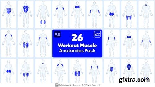 Videohive Workout Muscle Anatomies Pack For After Effects 48592889