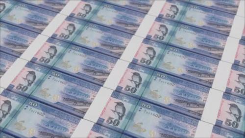 Videohive - 50 SRI LANKAN RUPEE banknotes printed by a money press - 48262020 - 48262020