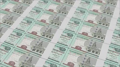 Videohive - 5 EGYPTIAN POUND banknotes printed by a money press - 48262101 - 48262101