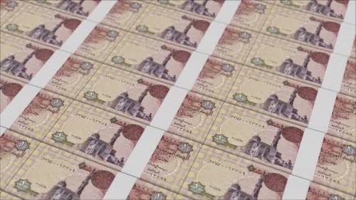 Videohive - 1 EGYPTIAN POUND banknotes printed by a money press - 48262102 - 48262102