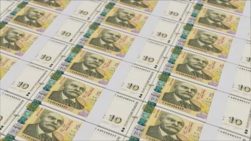 Videohive - 10 BULGARIAN LEVA banknotes printed by a money press - 48262121 - 48262121