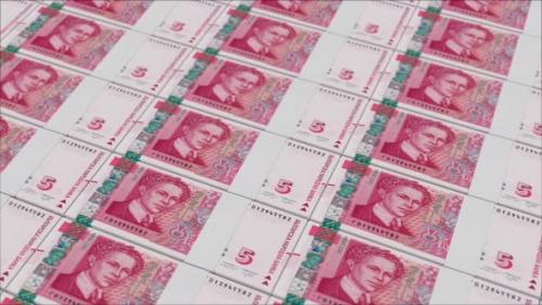 Videohive - 5 BULGARIAN LEVA banknotes printed by a money press - 48262122 - 48262122