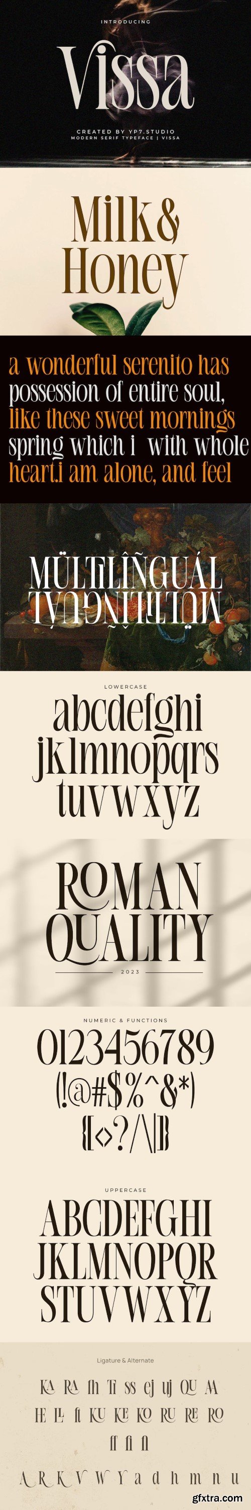 Vissa - Modern Elegant Serif Font