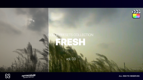 Videohive - Fresh LUT Collection Vol. 03 for Final Cut Pro X - 48341743 - 48341743