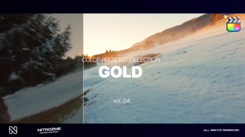 Videohive - Gold LUT Collection Vol. 04 for Final Cut Pro X - 48341804 - 48341804