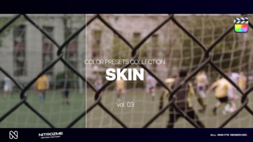 Videohive - Skin LUT Collection Vol. 03 for Final Cut Pro X - 48341909 - 48341909