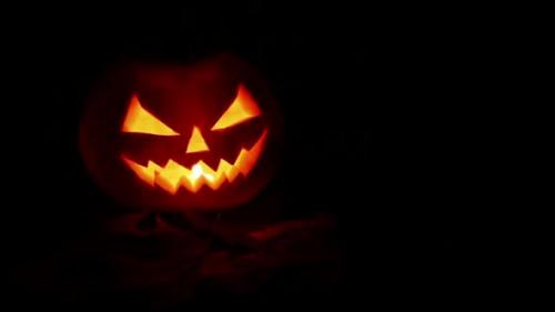 Videohive - Halloween Pumpkin - 48318335 - 48318335