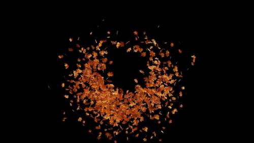 Videohive - Autumn Maple Leaves Explosion 01 HD - 48318431 - 48318431