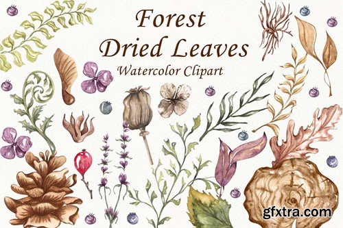 Forest Clipart. Forest Leaves Watercolor Clipart T7CRBC4