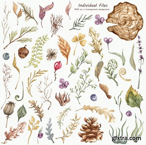 Forest Clipart. Forest Leaves Watercolor Clipart T7CRBC4