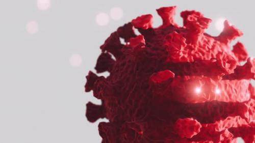 Videohive - Flu COVID19 Virus Variant of Coronavirus - 48367718 - 48367718