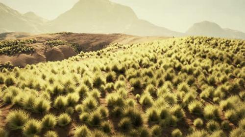 Videohive - A Vast Grassy Field with Majestic Mountains in the Distance - 48388298 - 48388298