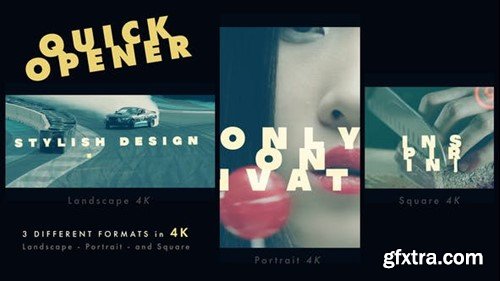 Videohive Quick Opener 48652542