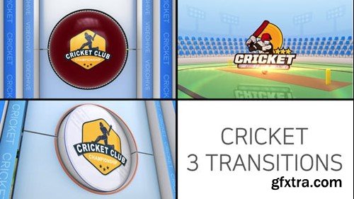 Videohive Cricket Logo Transition 48650978