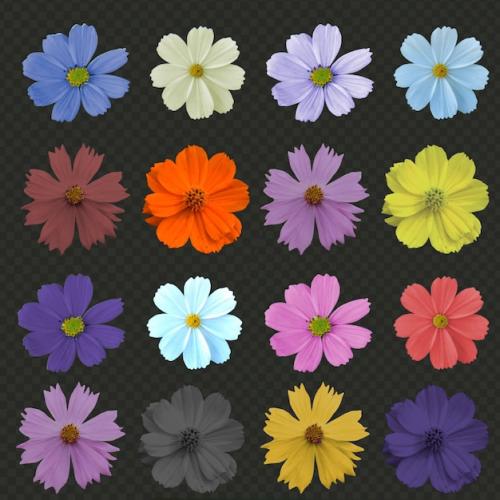 Premium PSD | Colorful flowers isolated background psd Premium PSD